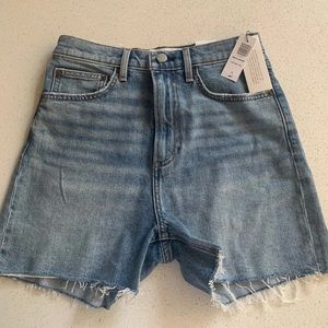 Aritzia Denim Forum Arlo denim shorts
